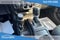 2020 Jeep Wrangler Base