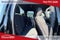 2026 RAM Ram 1500 RAM 1500 BIG HORN QUAD CAB 4X4 6'4' BOX