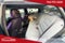 2020 Chevrolet Malibu FWD 1FL