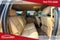 2014 Chevrolet Suburban LT