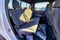 2027 RAM Ram 1500 Base