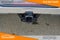 2020 GMC Sierra 1500 4WD Crew Cab Short Box SLT
