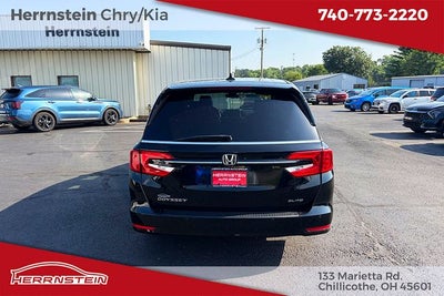 2023 Honda Odyssey Elite